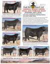 Peak Dot Ranch Bull & Female Sale Ad : click to enlarge