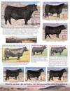 Peak Dot Ranch Bull & Female Sale Ad : Page 2.