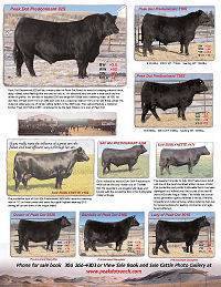 Peak Dot Ranch Sale Ad :: click to enlarge