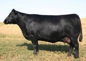 Dam of Iron Mountain