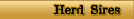 Herd Sires